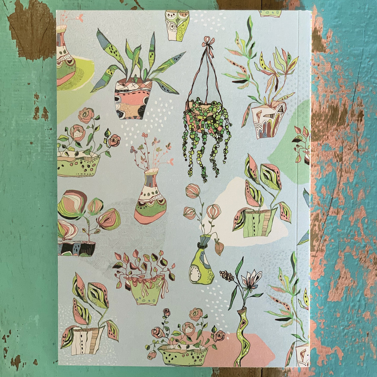 מחברת מאויירת- עציצי בית